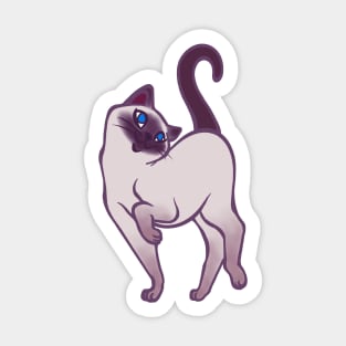 Begging for Pettings--Tonkinese Style! Sticker